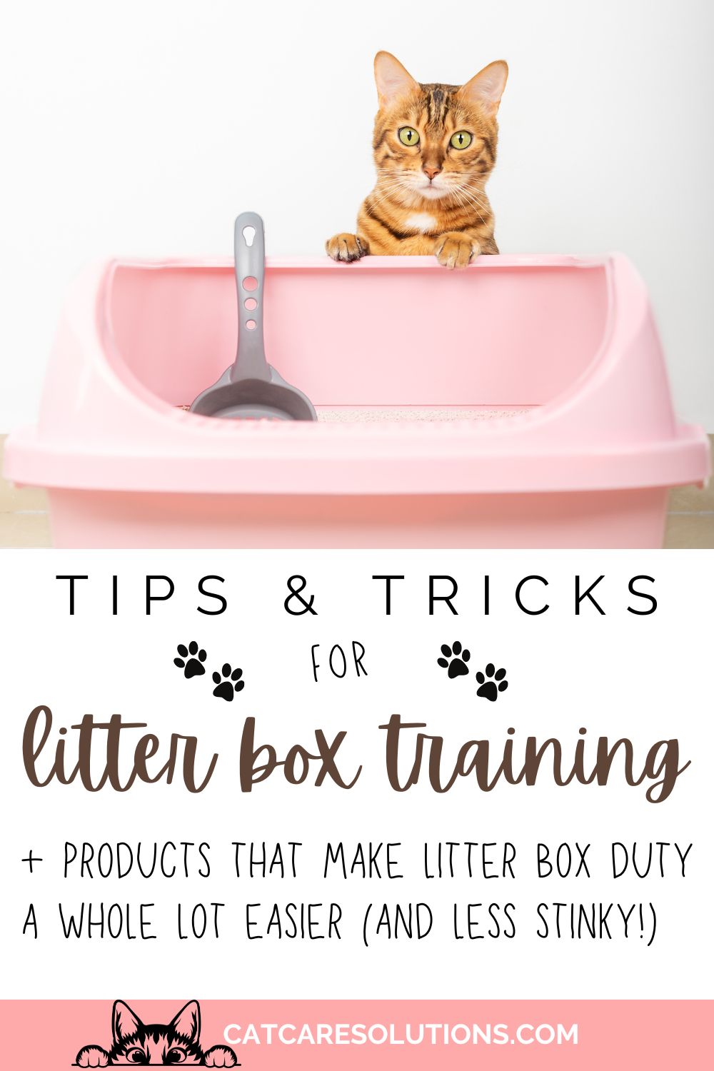 How To Train A Cat To Use The Litter Box Tips Tricks For A Happy
